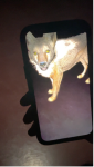 03.png